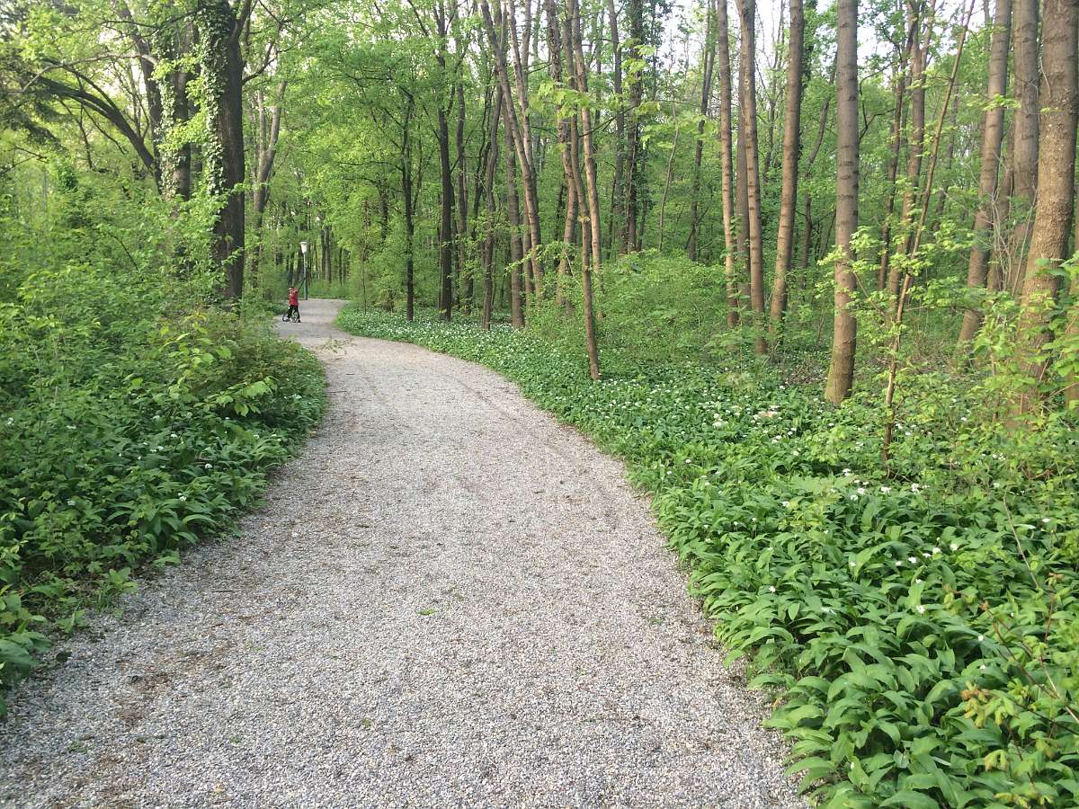 2014-04-18 18-29-20.JPG